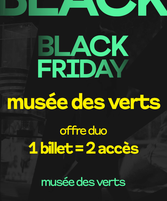 <p><span class="ql-size-large">Black Friday Musée des Verts - Offre </span><strong class="ql-size-large">"Duo Supporter Musée"</strong><span class="ql-size-large"> : viens visiter le Musée à deux, paie pour un seul 💚 </span></p>